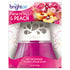 BRIGHT Air®  FRESHENER,ODOR,FSH PET,PK  900134EA