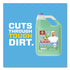 Mr. Clean®  CLEANER,MRCLEANMPW/FEB,BE  23124