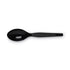 Dixie®  TEASPOON,MED WGT,100,BK  TM507