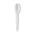 Dixie®  TEASPOON, MED WGT,WHT  TM217