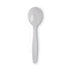 Dixie®  SPOON,SOUP,PLS,HVYWT,1MCT  SH217