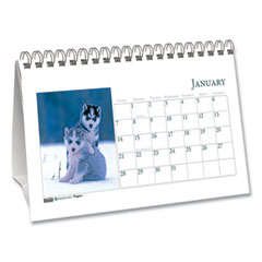 House of Doolittle  CALENDAR,DESKTP TENT,PUP  3659